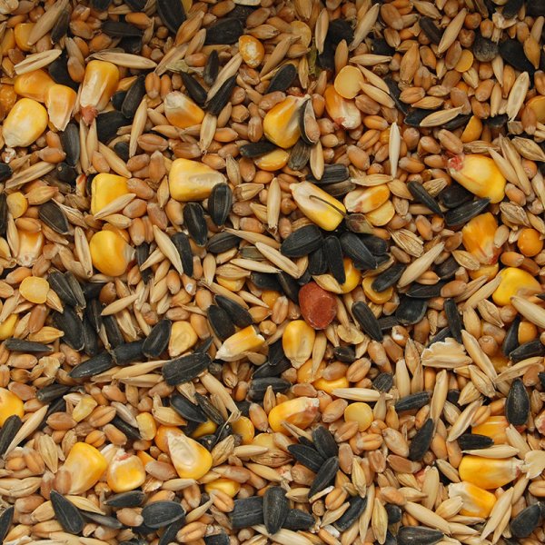 蛋白酶助力第十届世界华人虾蟹养殖研讨会