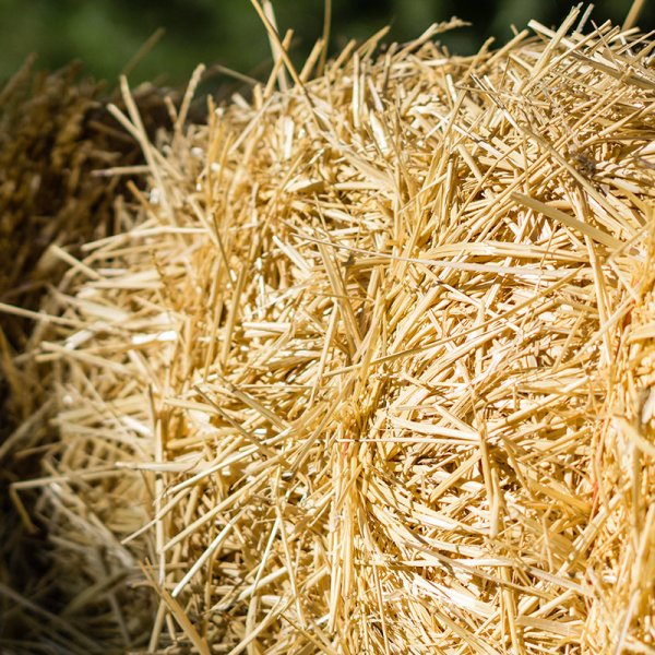 炼内功，寻突破——10月月度会议圆满召开